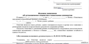 Возражение на иск об установлении отцовства и взыскании алиментов