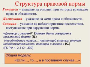 Структура правовой нормы примеры гипотеза диспозиция санкция