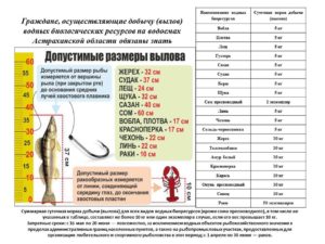 Правила рыбалки в вологодской области с 2020 года