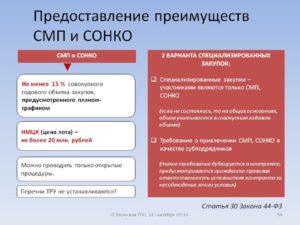 Закупки сонко по 44 фз пример привести