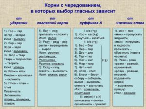 Правописание корней чет чит правило