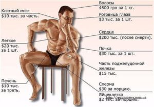 Продать яйцо на органы цена