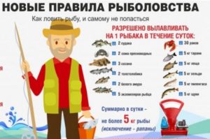 Правила рыбалки в вологодской области с 2020 года