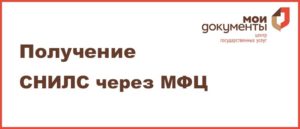 Снилс и инн в мфц