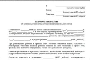 Возражение на иск об установлении отцовства и взыскании алиментов