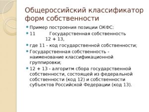 Форма собственности ип код окфс