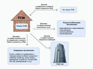 Банкротство тснтсж последствия для собственника