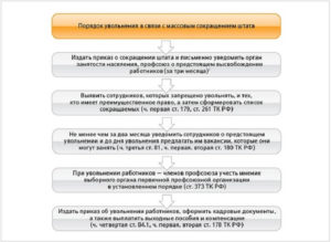 После ликвидации организации в какой период нужно стать центр занятости