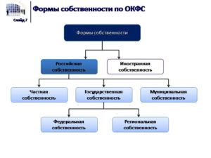 Форма собственности ип код окфс