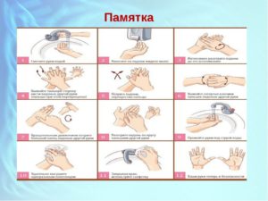 Правила мытья рук в общепите инструкция