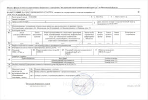 Сколько стоит оформить зеленку на землю