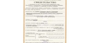 Снилс и инн в мфц