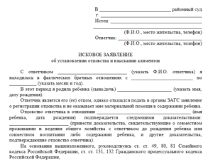 Возражение на иск об установлении отцовства и взыскании алиментов