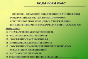 Форма собственности ип код окфс