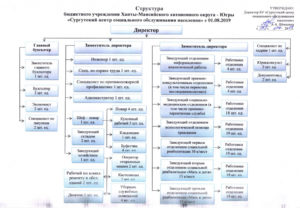 Организационная структура бюджетного учреждения это и обязательность