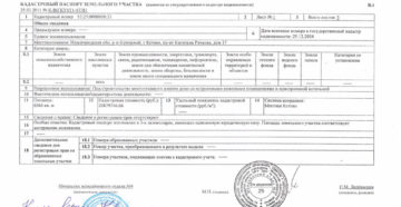 Сколько стоит оформить зеленку на землю