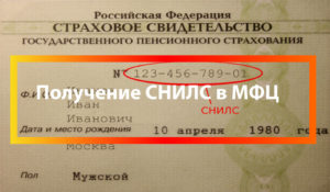 Снилс и инн в мфц