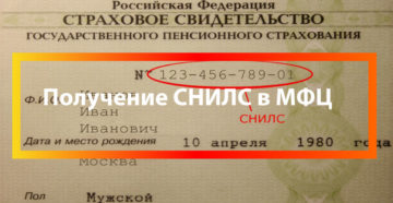 Снилс и инн в мфц