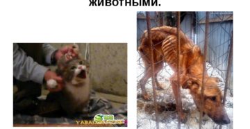 Какая статья за издевательство над человеком Какая статья за издевательство над человеком