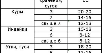 При какой температуре хранят яйца для инкубатора