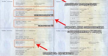 Где нужно поставить подпись в птс автомобиля при продаже