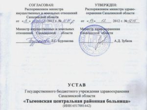 Изменения в устав казенного учреждения образец 2020