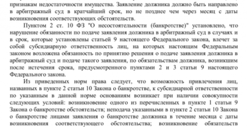 Заявление о субсидиарной ответственности руководителя