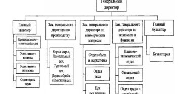 Организационная структура предприятия ооо образец схема с описанием в ворде