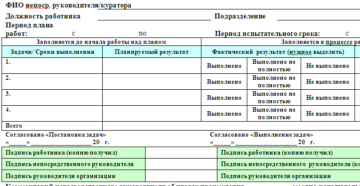Задачи на прохождение испытательного срока пример