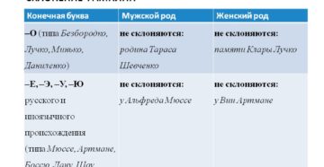 Как склоняется фамилия родина в заявлении Как склоняется фамилия родина в заявлении
