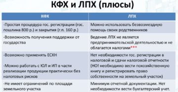 Кфх плюсы и минусы