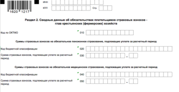 Как заполнить форму рсв за год кфх с работниками образец