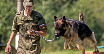 Российские кинологические войска Российские кинологические войска