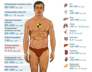 Продать яйцо на органы цена